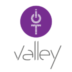 Logo IOT Valley